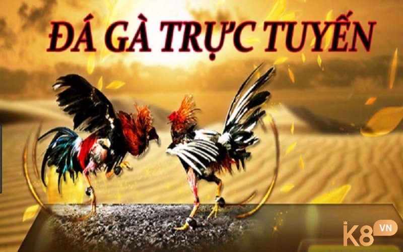 Đá gà trực tuyến là hình thức giải trí được đông đảo anh em cược thủ yêu thích hiện nay