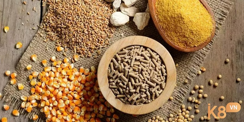 Thức ăn tự nhiên, giàu dinh dưỡng như ngô, đậu, cám giúp gà hấp thu tốt