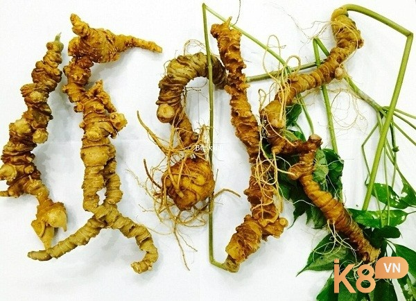 Sâm Ngọc Linh và cam thảo giúp gà khỏe toàn diện, hấp thụ dinh dưỡng hiệu quả hơn