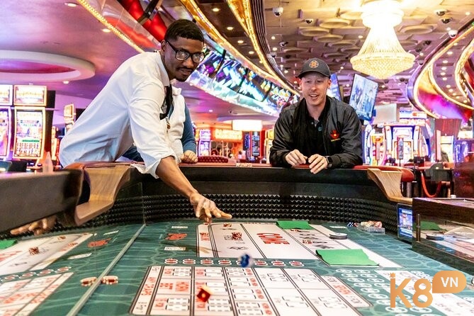 Slot machine, blackjack, roulette, craps và poker dành cho cả người mới và chuyên nghiệp.